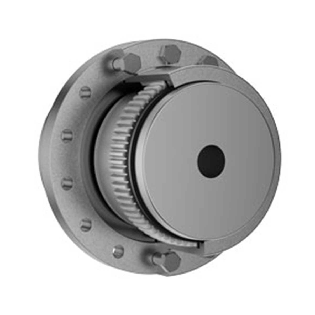 Renold · Produktbeispiel der Marke: Zahnkupplungen