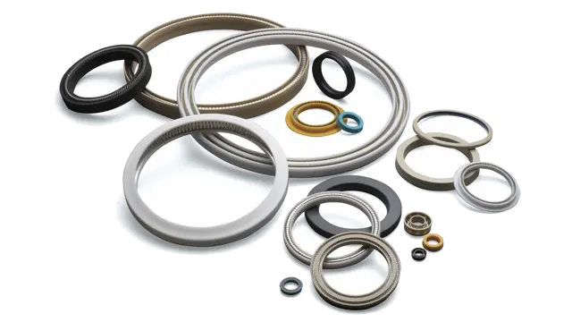 Spring-energized seals